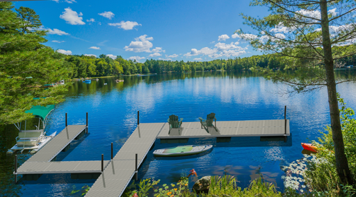 Dock with boats on a calm lake surrounded by trees
