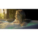 MSPA, OSLO, FRAME SERIES, Fixed Body, Movable, Hot Tub & Spa, Wi-Fi, App Controlled, Jets & Bubble System – 6 Person - Aqua Gear Supply