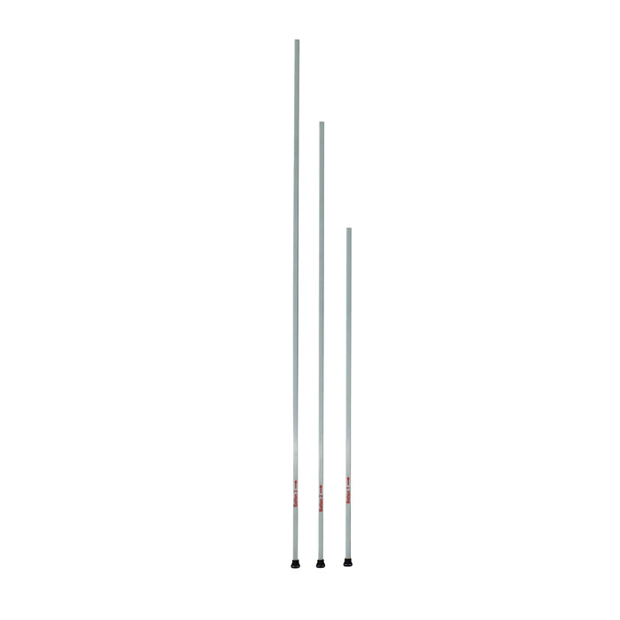 Two ski poles on a white background