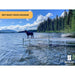Dog on a dock with a lake and forest in the background, featuring Patriot Docks branding.
